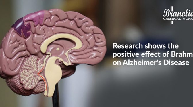 Research shows the positive effect of Brahmi on Alzheimer’s Disease