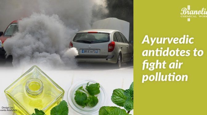 Ayurvedic antidotes to fight air pollution