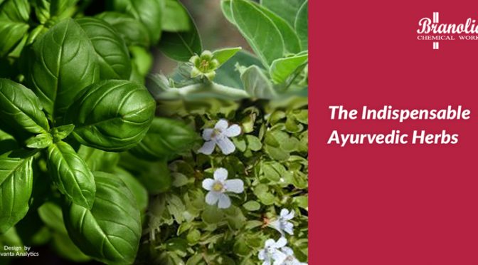 The Indispensable Ayurvedic Herbs